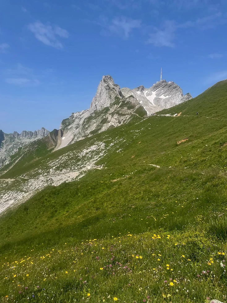 Säntis — Berghang mit Weg über dem Alpstein
