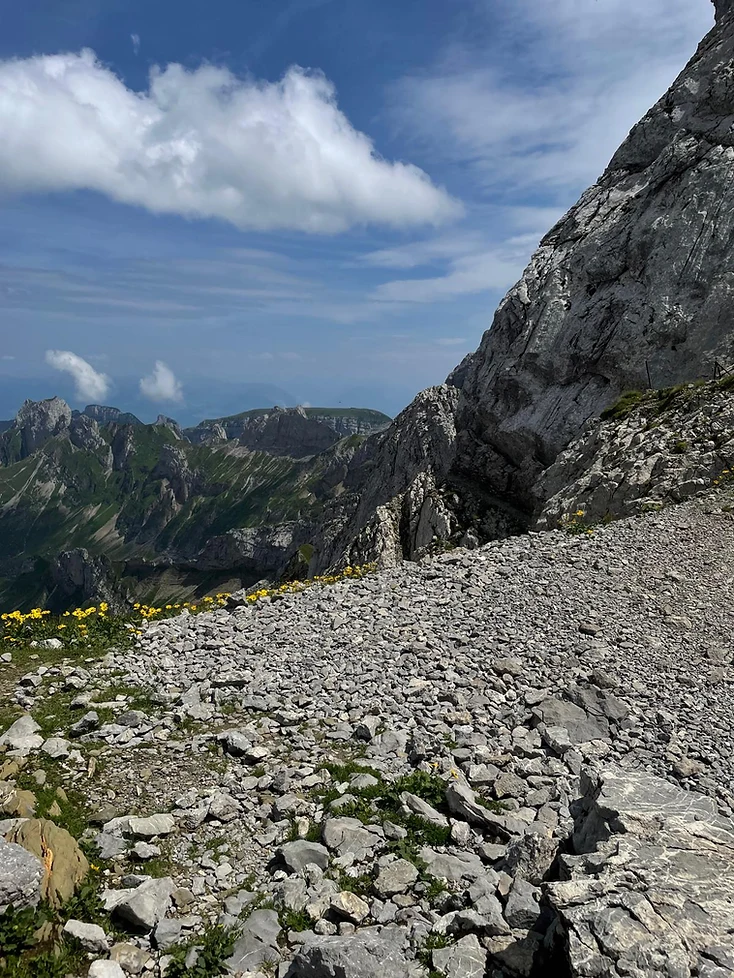 Alpstein — Schutthang und Talblick