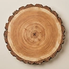 Natürlicher Holzquerschnitt mit Jahresringen und Rinde
