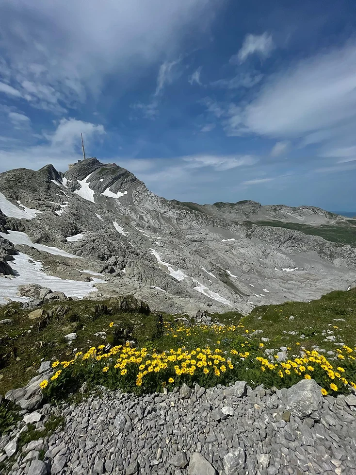 Säntis-Gipfel mit Sendeturm über dem Alpstein