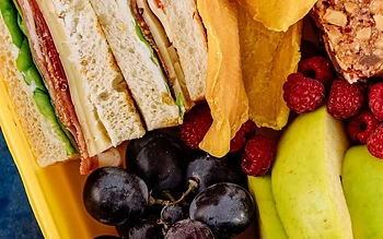 A packed lunchbox with sandwiches, grapes, raspberries, apple slices and a cereal bar