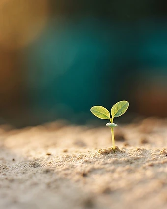 Macro fine-art image representing pediatric endocrinology — growth, gently guided.