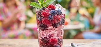 Berry Explorer