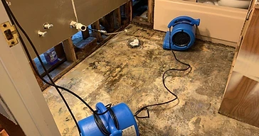 Professional Water Damage Mitigation and Restoration
