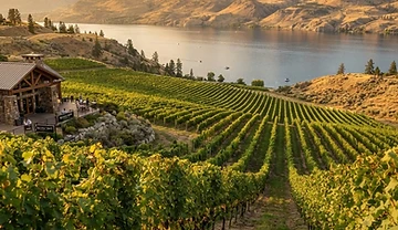 Okanagan Wine Country: A Beginner's Guide