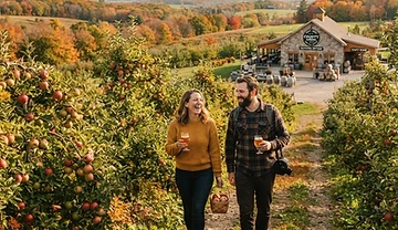 Savoring the Craft Cider Scene: A Tour of Southern Ontario’s Best Orchards