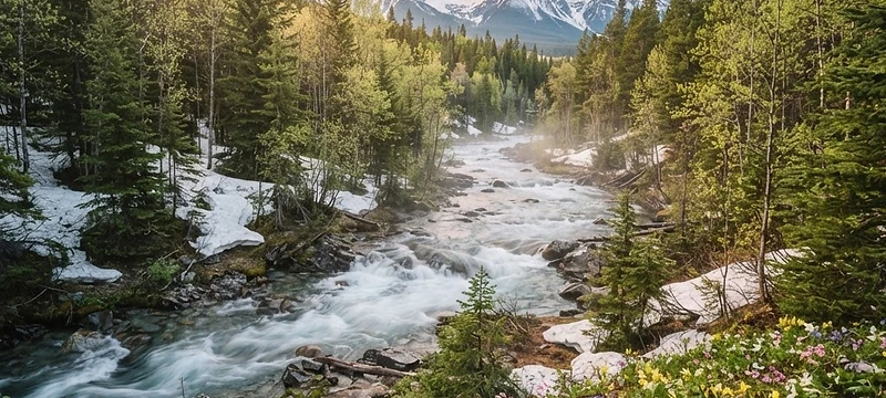Best Spring Getaways in Canada