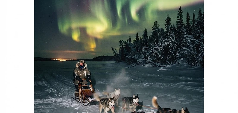 3 Days of Northern Lights and Dog Sledding in Yellowknife