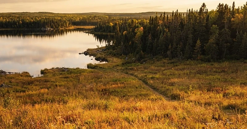 Manitoba landscape