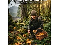 Foraging for Chanterelles: A Foodie's Guide to BC's Coastal Forests