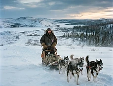 Mastering the Arctic: Your Essential Churchill Dog Sledding Packing List