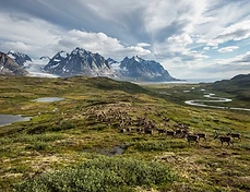 Baffin Island: The Heart of the Eastern Arctic