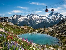 Whistler Beyond the Slopes: A Summer & Fall Guide