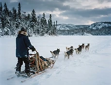 Winter Survival: Essential Gear for Your First Manitoba Dog Sledding Adventure