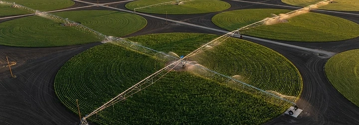 Agriculture — GSI sector