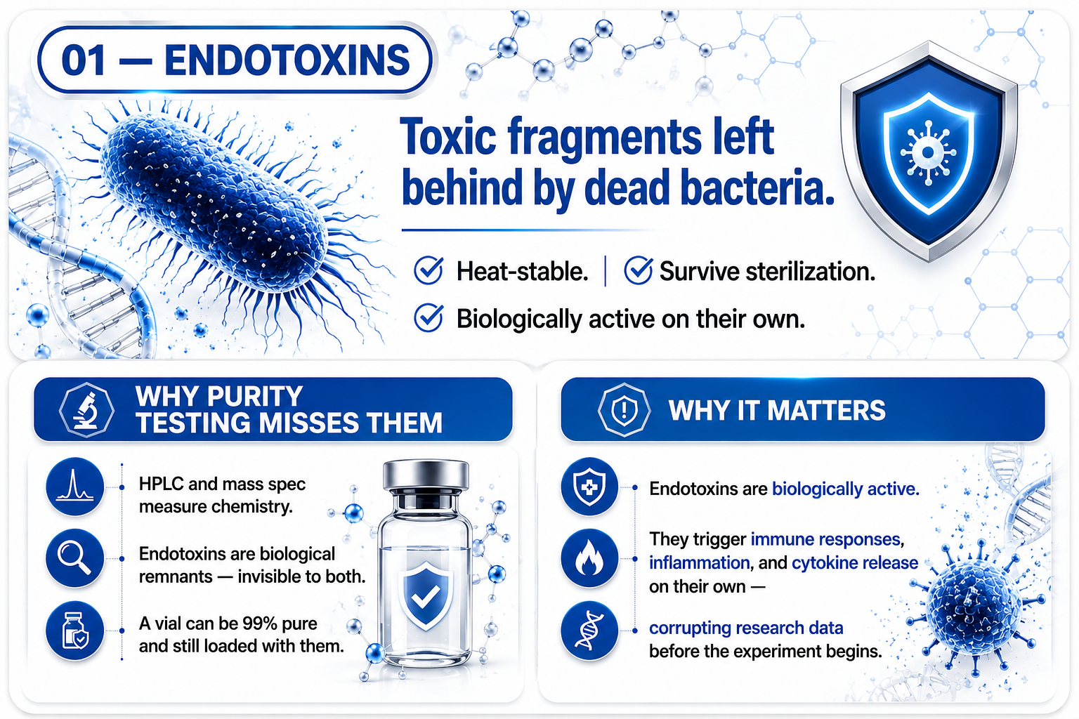 01 — Endotoxins: toxic fragments left behind by dead bacteria. Heat-stable, survive sterilization, biologically active on their own.