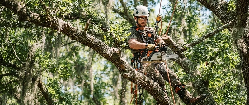 Tree Trimming DeBary FL by True Outdoors LLC in DeBary Florida