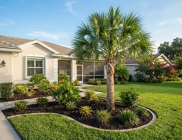 Clean yard after professional palm trimming