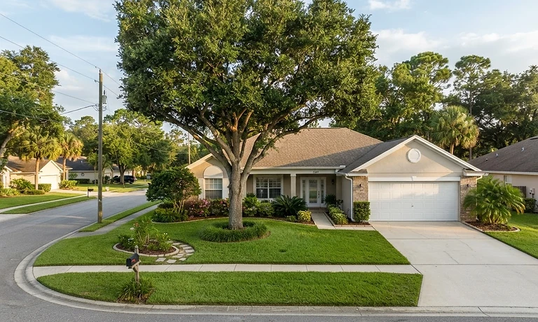 Clean yard after professional tree trimming in DeBary Florida