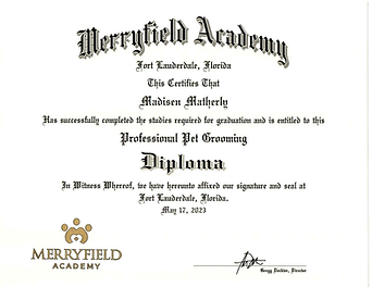 Merryfield Academy — Professional Pet Grooming Diploma