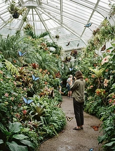 Butterfly Conservatory