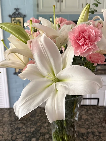 White Lily Close-Up