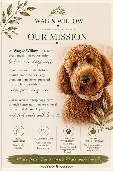 Wag & Willow — Our Mission