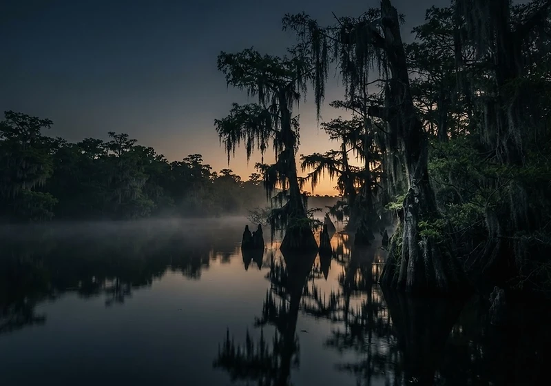 Atmospheric Gulf Coast bayou at twilight — cypress trees in dark still water