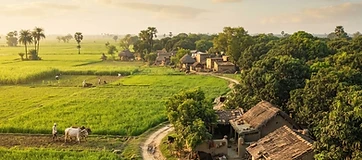 Rural Awadh Countryside