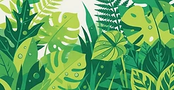 Plants illustration