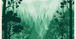 Forests illustration