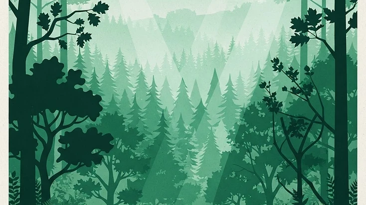 Illustration of forests