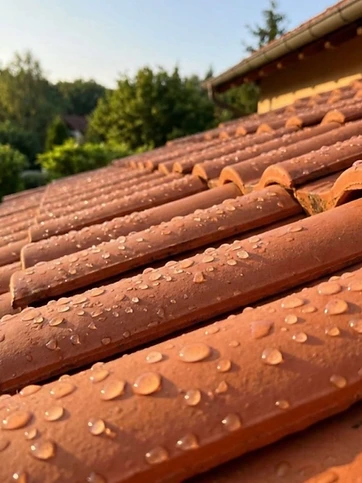Toiture en terre cuite après la pluie