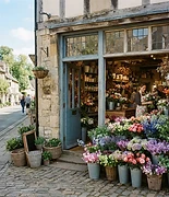 Petal & Stem Florist