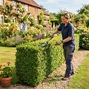 Garden Maintenance & Lawn Care