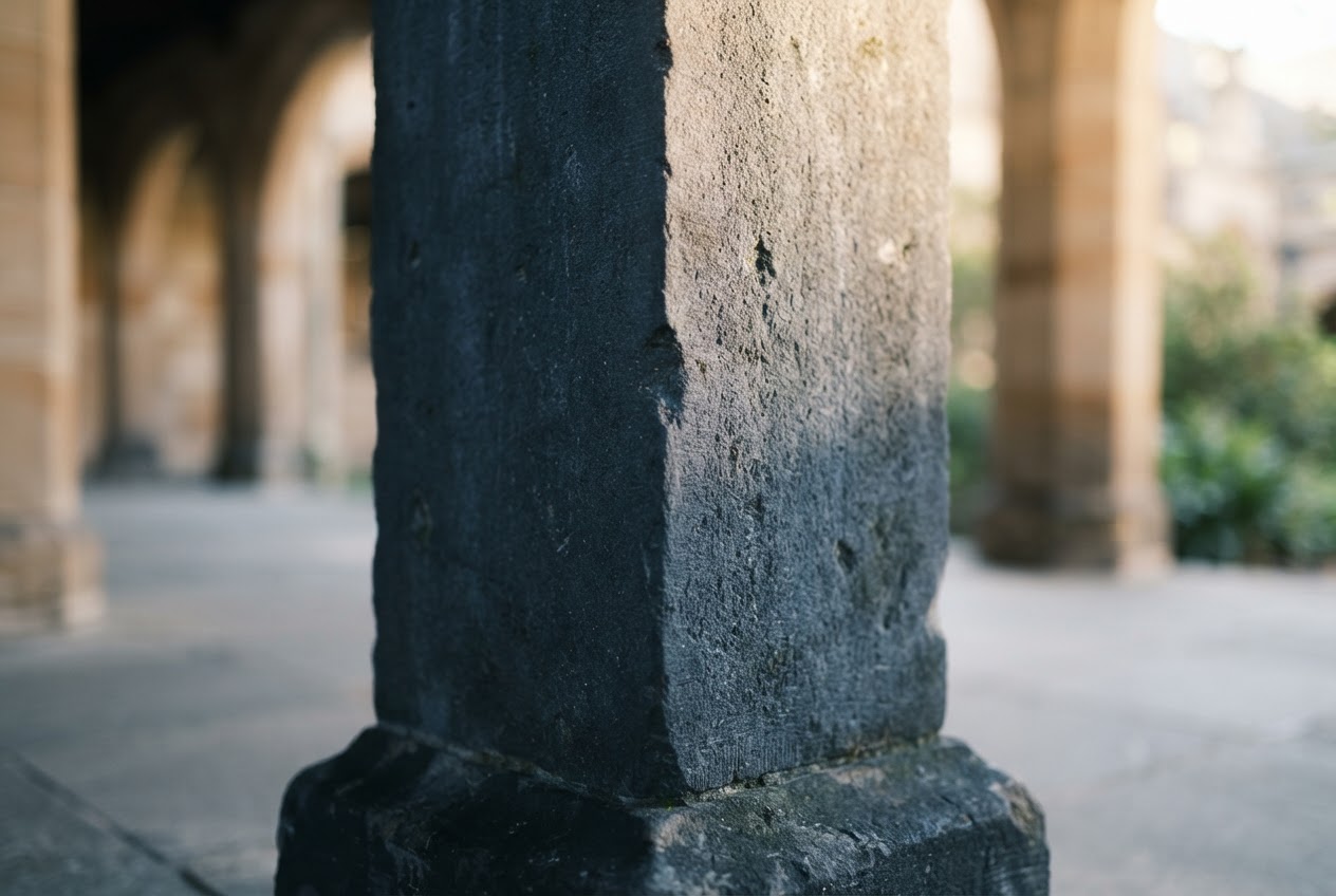 Macro detail of a stone architectural pillar.