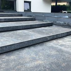 Grote schellevis trapelementen