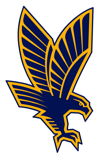 Secondary Logo