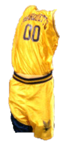 1995-96 Alternate