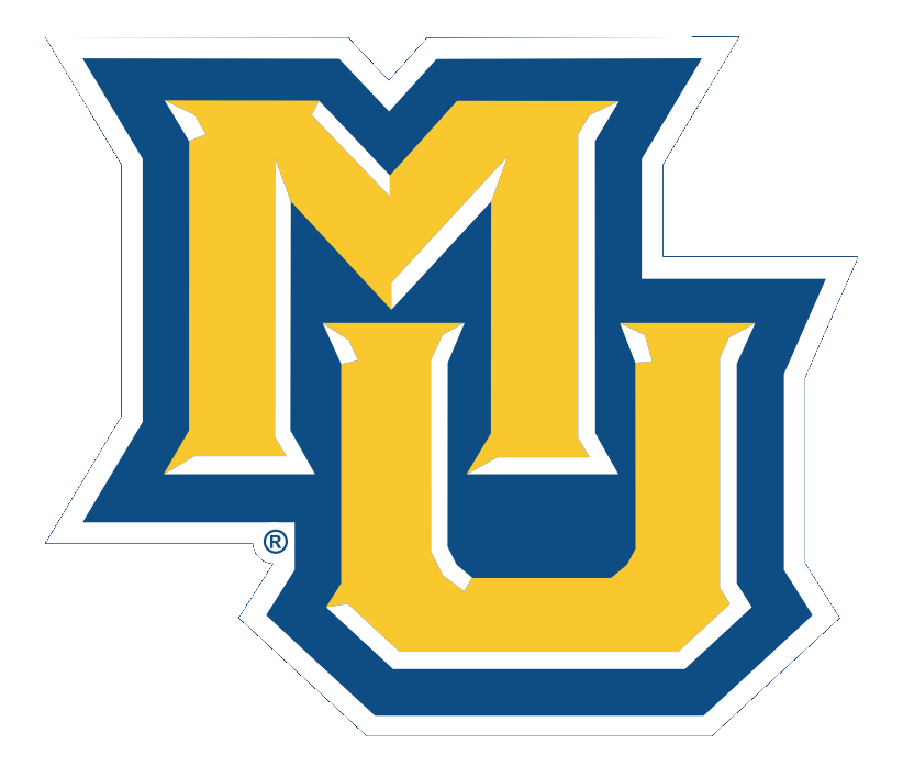 Secondary Alternate Logo