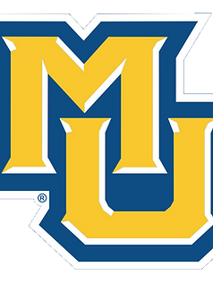 Secondary Alternate Logo