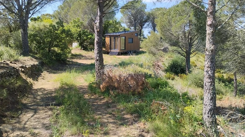 Berkana Othala tiny house nestled among pine trees on a sunny hillside