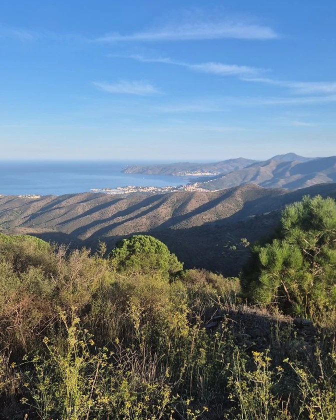 Multitude of Trails and Roads