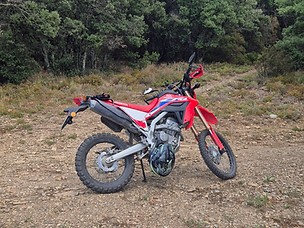 Honda CRF 300L dual sport motorbike on a forest trail