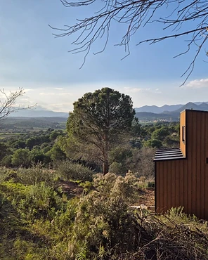Panoramic vista over the forested Pyrenean valley from Berkana Othala