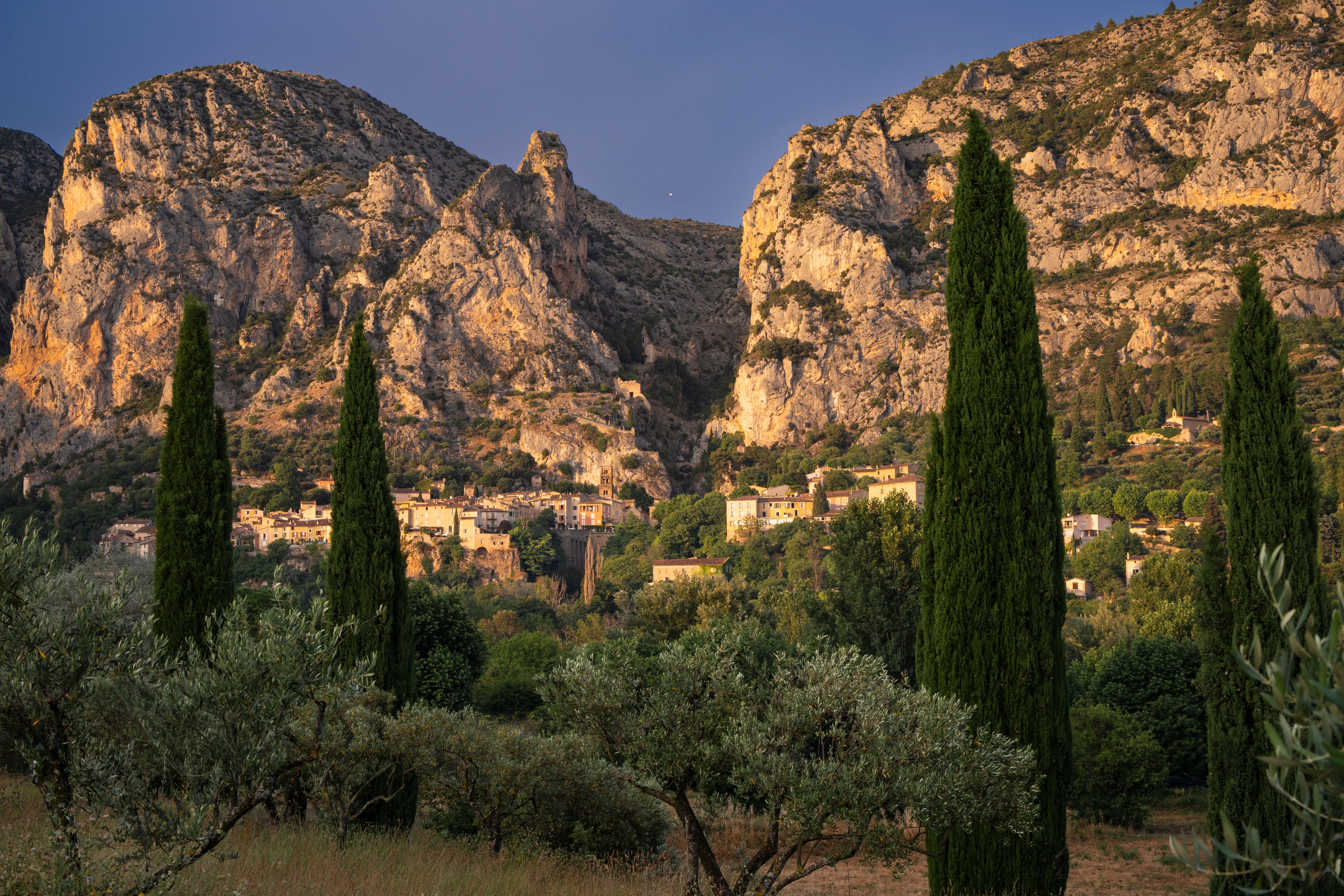 Les meilleures balades canines autour de Fuveau et au pied de la Sainte-Victoire