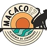 Logótipo Macaco 17 — Academia de longboard em Vila do Conde