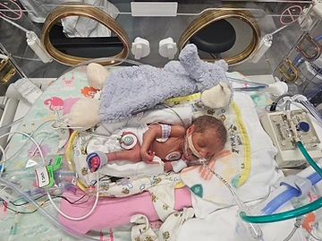 A premature baby resting in a NICU isolette, surrounded by medical monitoring equipment, breathing support, and a soft elephant toy.