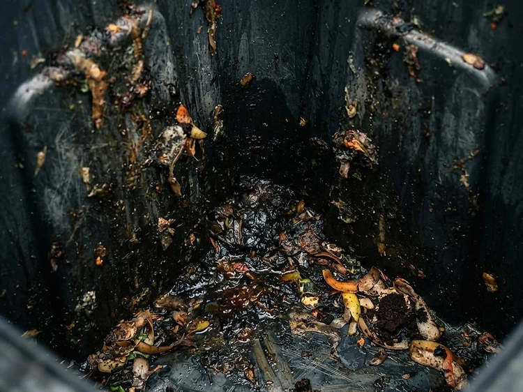 Dirty trash bin interior before cleaning