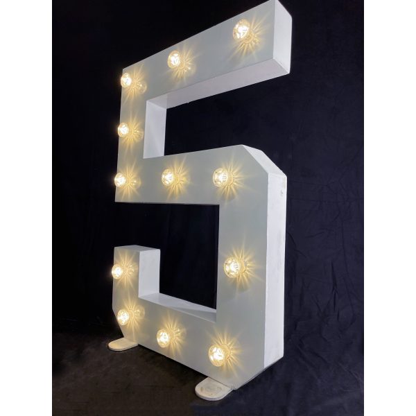LED Light Up Number 5